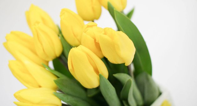 Доставка квітів поштучно «kievflower» по україні зі знижкою