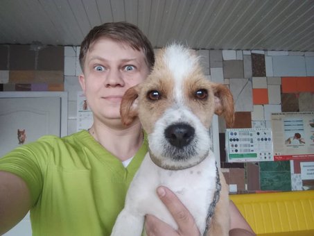 Сеть ветеринарних клінік «Звірятко» у Дніпрі. Лікуйте тваринку за акцією.
