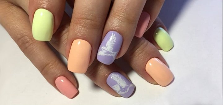 Manicure, pedicure with gel polish coating in the studio of manicure and eyelash extension &quot;pro nails&quot;