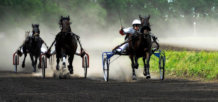 Equestrian sport in Kiev