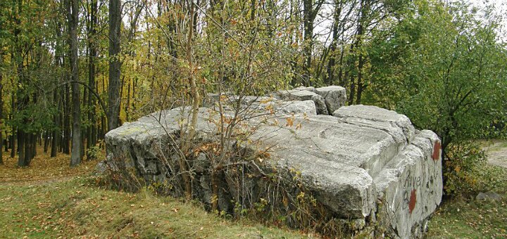 Ставка гітлера «вервольф» вінниця