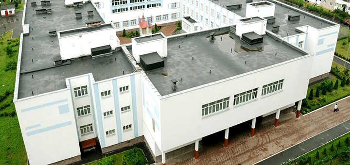 Скандинавская гимназия