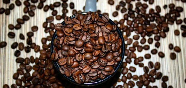 Arabica coffee