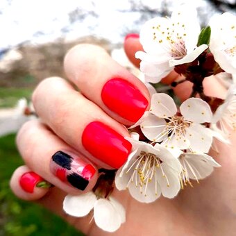 photo