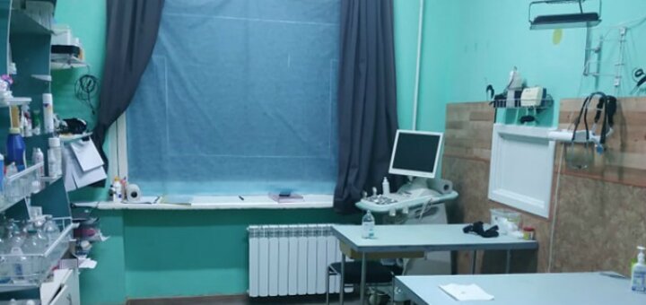 Доступні ціни ветеринарний центр «у ветеринара»