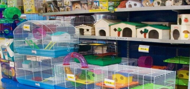 Pet shop "ZooComplex" in Dnipro