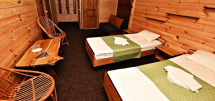 Alpine Eco Chalet & Wellness on Dragobrat. Book with promotion 29