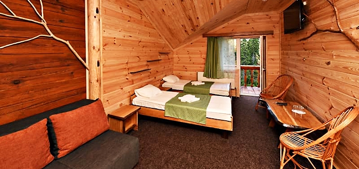 Alpine Eco Chalet & Wellness on Dragobrat. Book with promotion 34