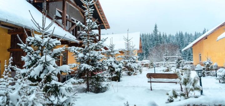 Estate «Bagonchik Tract» in Vorokhta. Buy a voucher to rest in Ukraine for a special offer.