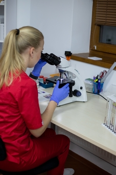 Ветеринарная лабораторная диагностика Zoolabix во Львове. Акция на анализы