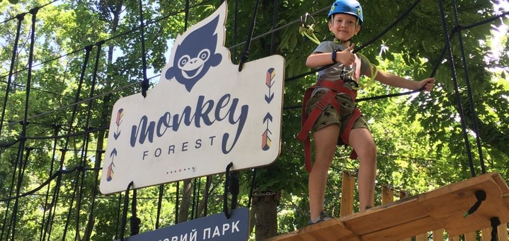Веревочный парк Monkey Forest, детские развлечения