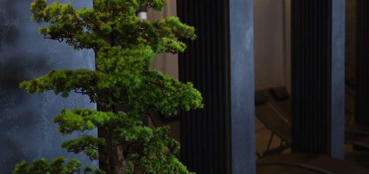 Отель Naciku в Буковеле. Бронируйте по акции 16