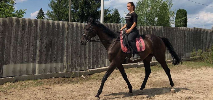 Скидка на конные прогулки от Эверест11