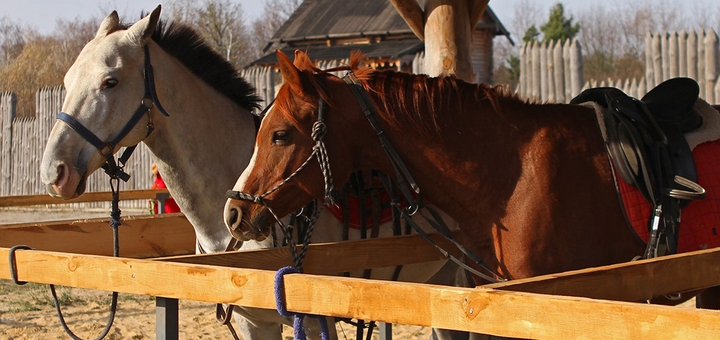 Княжа стайня Стародавнього Києва. Відвідуйте по акції 15