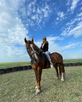 Конный клуб Horsecamp
