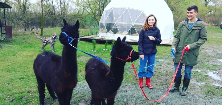 Загородный комплекс Дом Хаски. Отдыхайте со скидкой 39