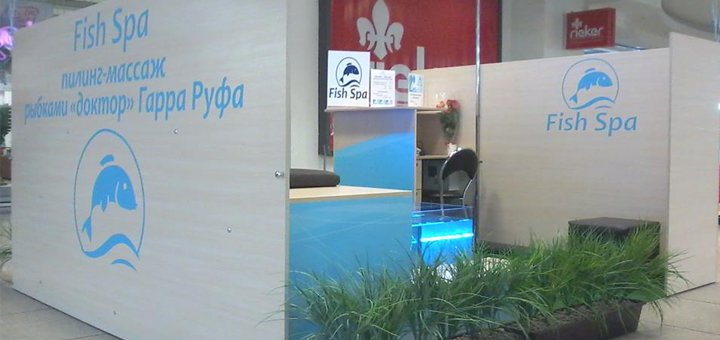 Peeling massage with fish &quot;doctor&quot; garra rufa, visit with a discount 2