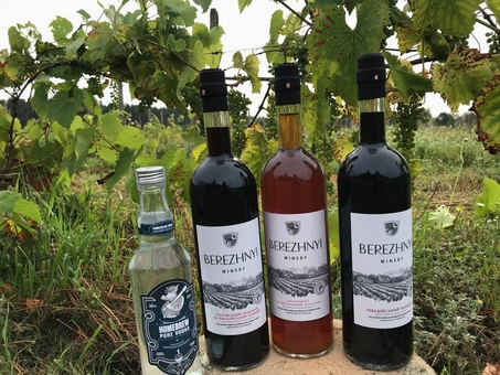 Berezhnyi Winery near Kyiv