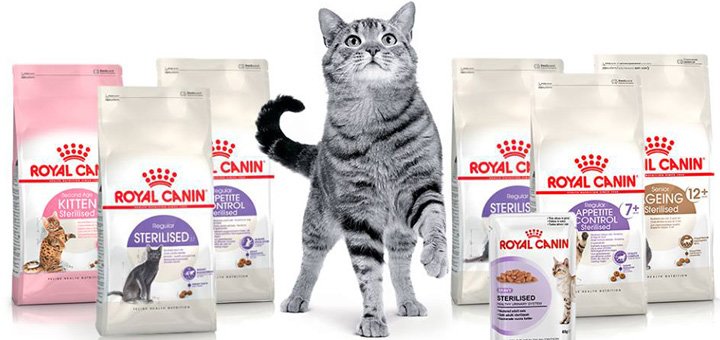 Discounts on food for cats from &quot;royal canin&quot;