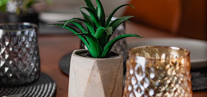 Starbath City SPA відвідуйте акцію 44