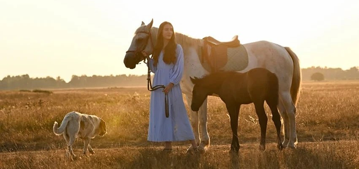 Svoboda Equestrian Center. Visit with a 5% discount.