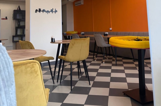 Murcota Cat Cafe. Visit with special offer 22