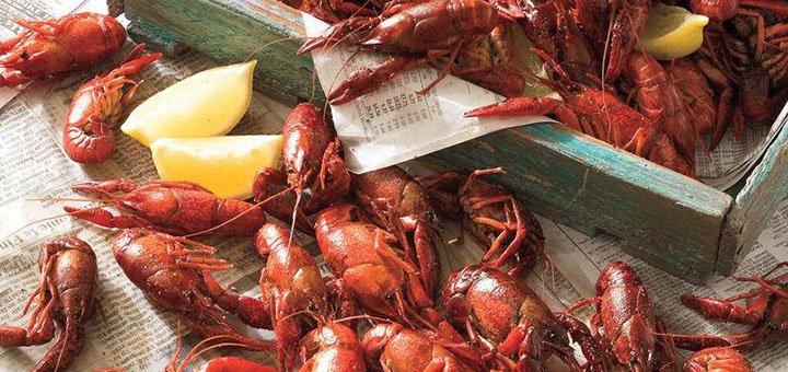 Delivery of boiled crayfish «Crayfish» across Kiev and Kiev region. Buy crayfish at a discount.