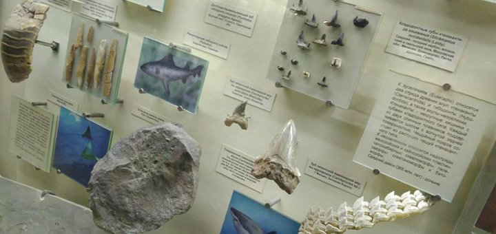 Клуб палеонтологии «Paleomax» со скидками на билеты в Киеве 1
