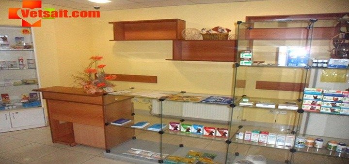 Ветеринарна клініка «Улюбленець». Скористайтеся послугами по акції