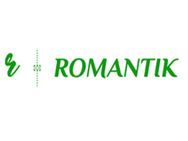 Romantic (Solotvino)