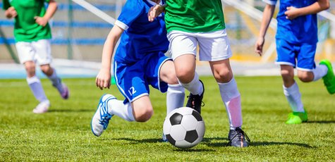 Shutterstock_517663504