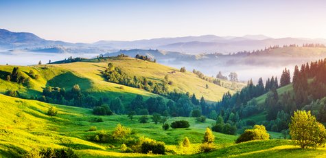 Shutterstock_618292847